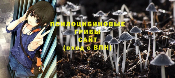 прущие крисы Баксан