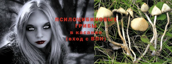прущие крисы Баксан